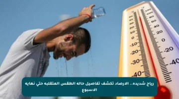 رياح شديدة.. الأرصاد تكشف تفاصيل حالة الطقس المتقلبة حتى نهاية الأسبوع